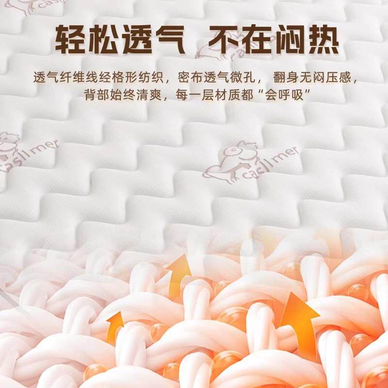 弹簧床垫180x200家庭用卧室乳胶软租房专用硬椰棕20cm超厚席梦思