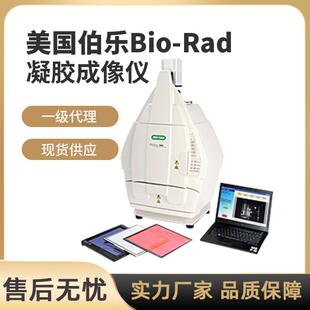 美国伯乐Bio-Rad凝胶成像仪系统ChemiDoc/GelDoc凝胶文档系统