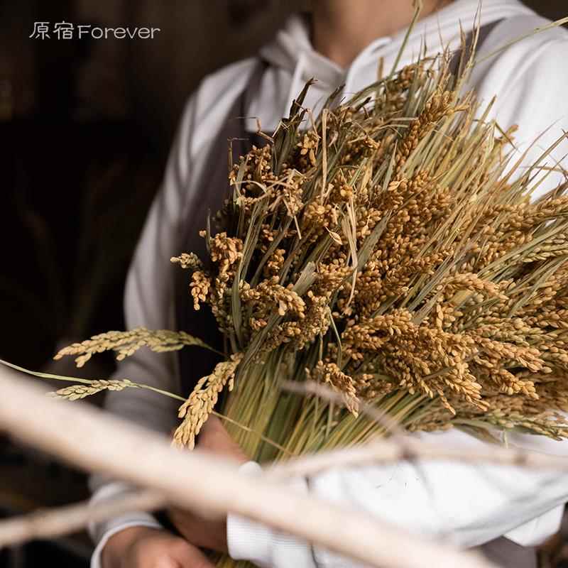 秋意乡村稻穗干花舞台婚庆民宿场景布置装饰开业插花束搭配干花材