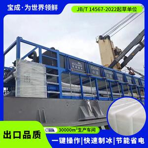 山东宝成大型制冰机全自动直冷式块冰机蔬菜水产用冰制冰设备