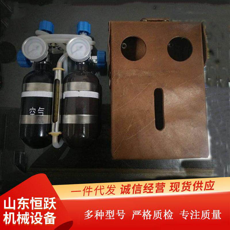 供应AP5A甲烷传感器用校验仪煤矿井下甲烷传感器校验仪