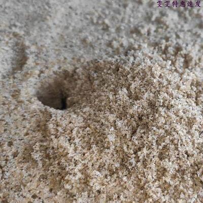 Natural sea sand 6 pounds of sand crab bottom sand seaside c