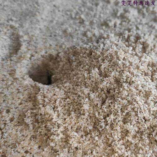 Natural sea sand 6 pounds of sand crab bottom sand seaside c