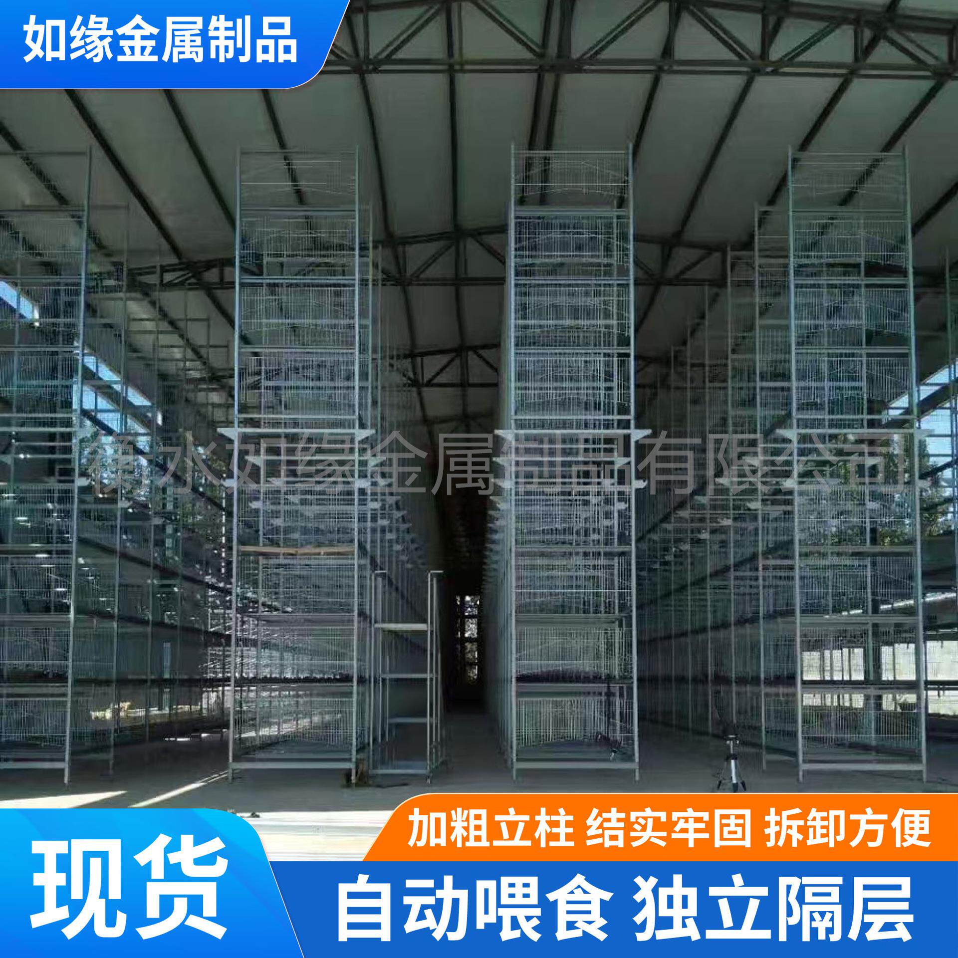 10层蛋鸡笼养鸡场养鸡设备全自动鸡舍养殖笼具鸡用加密加粗蛋鸡笼