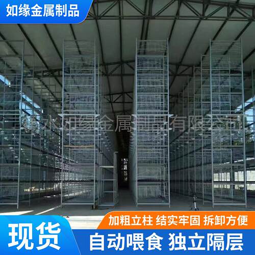 10层蛋鸡笼养鸡场养鸡设备全自动鸡舍养殖笼具鸡用加密加粗蛋鸡笼