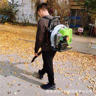 多用途吹雪机道林路工地背式吹树叶机园工程RSJ负树叶吹风机