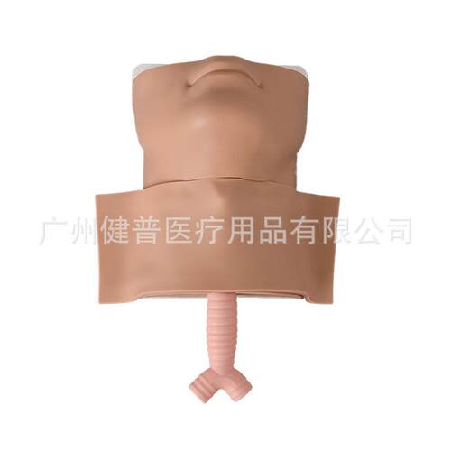 急救模型环甲膜穿刺模型高级经气管切开急救插管训练模型
