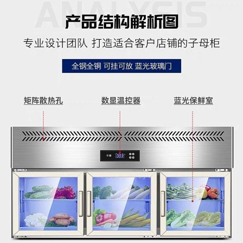 商用挂墙冰箱冷藏冷冻展示柜吊柜悬挂式冰柜嵌入式保鲜工作台