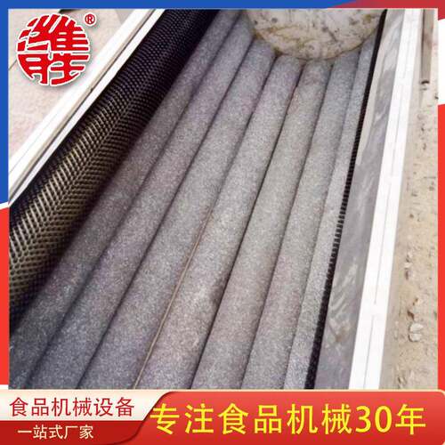 出售砂辊去皮机果蔬去皮清洗机毛辊去皮清洗机厂家供应