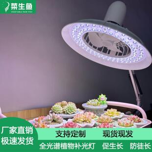 多肉补光植物灯防徒长促上色仿太阳光落地式 生长灯室内绿植风扇灯