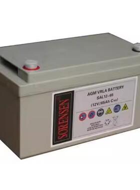 SORUISEN索瑞森蓄电池SAL/12V7AH17AH24AH38AH65AH100AH120AH UPS