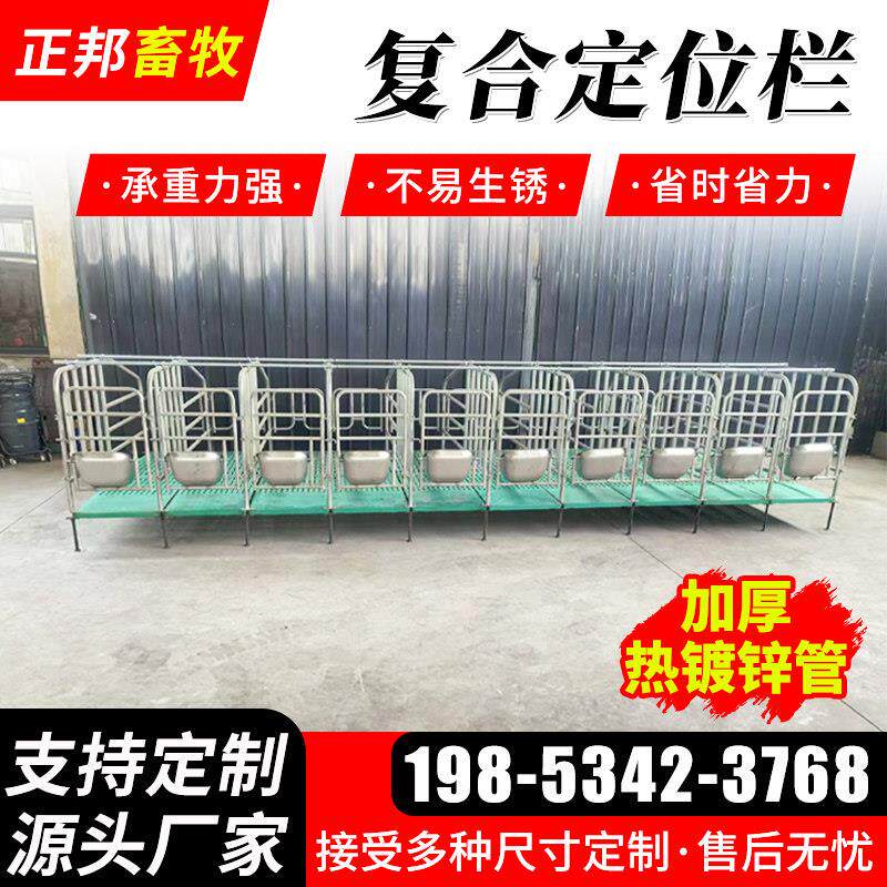 母猪定位栏带漏粪板限位栏热加厚镀锌养猪场设备猪用覆合定位栏