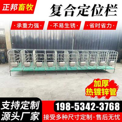 母猪定位栏带漏粪板限位栏热加厚镀锌养猪场设备猪用覆合定位栏