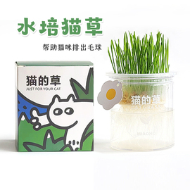 miaoho无土水培猫草种植天然植物，帮助猫咪吐毛球排毛球