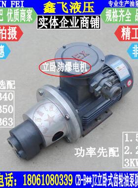 CB-B40JZ B50JZ B63JZ立卧式齿轮油泵防爆电机组装置YBX3-100L1-4