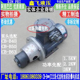 B63JZ立卧式 B50JZ 齿轮油泵防爆电机组装 置YBX3 100L1 B40JZ