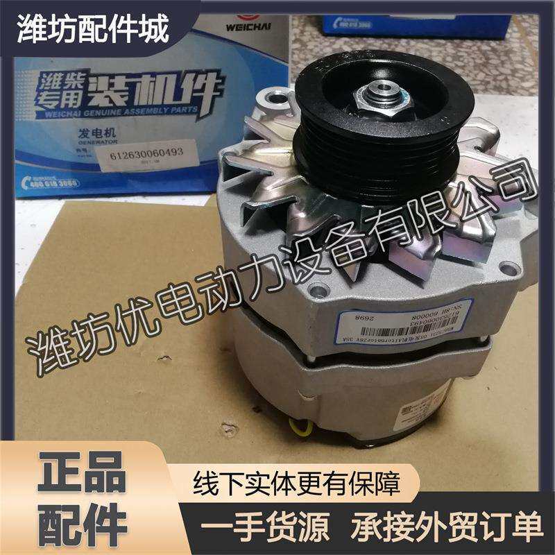 潍柴动力WP10斯太尔发动机WP12柴油机原厂配件612630060493发电机图片