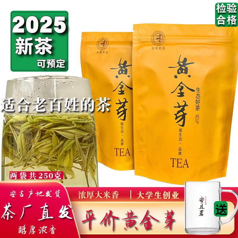 2025黄金芽新茶安吉正宗原产地特绿茶明前一级春茶浓香高山250g