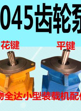 物全达小型装载机配件铲车配件CBY CBG1045齿轮泵 花键平键 齿轮