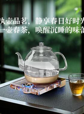 水晶烧水壶茶单人DCJ-A808电玻璃家用智能热温泡专用功夫恒茶 煮