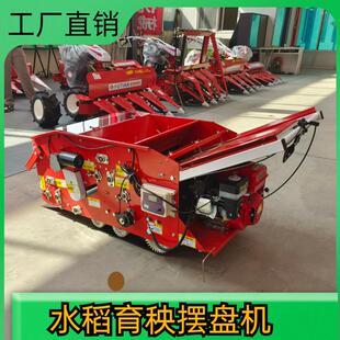 自走式 水稻播种机汽油育秧摆盘机厂家农用育秧摆盘机一台发货