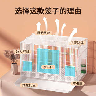 養小雞籠子家用蘆丁雞寵物柯爾鴨子專用飼養箱室內大號鴿子養殖籠
