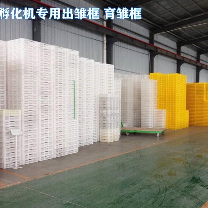 孵化机出雏框塑料出雏筐鸡鸭鹅周转筐鸡苗出雏框配件出雏专用