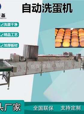 双排自动洗蛋机土鸡蛋清洗风干杀菌一体机松花蛋前处理设备
