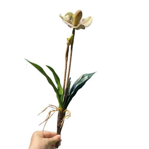 单只兜兰花朵仿真兰花地被花艺装饰插花网红直播间装饰假花餐桌