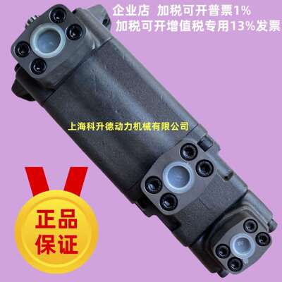 兰岗特LAN GANG TE定量叶片泵 HDVQ2215-38-38-08-FR-ABAA-07-01