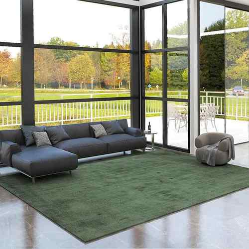 客厅地毯地垫清新茶几毯轻奢风简约现代家用北欧新中式浅灰色耐脏