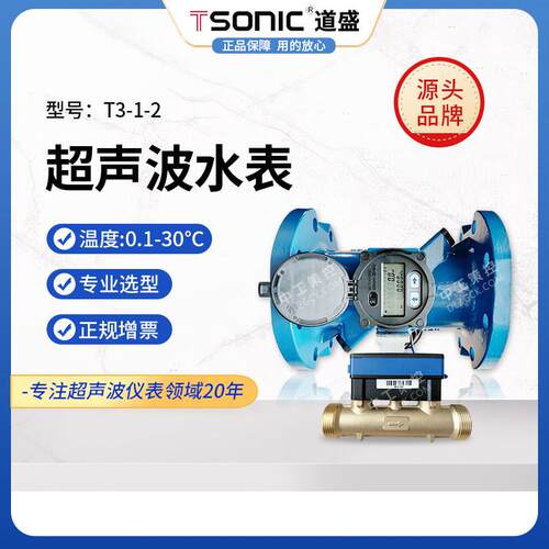 大连道盛T3-1超音波远传水表双声道流量计大口径防水供电智能数显