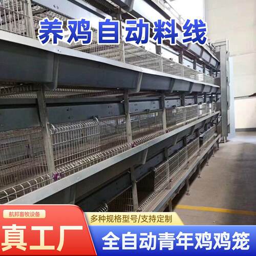 立式自动化养殖设备全自动框架养鸡笼鸡舍养鸡场层叠式H型青年鸡
