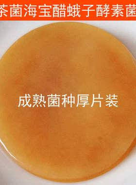 正宗红茶菌母菌海宝胃宝醋蛾子母醋水果酵素菌种 Kombucha Scoby