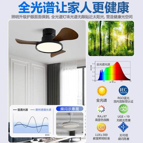 02916卧新款室小型灯吊扇家用静音2过道阳台书房吊扇餐厅吸顶风扇