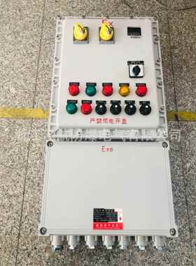 Exde IICT4/T6防爆照明配电箱