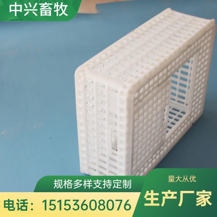 可组装塑料运输鸡筐 可重叠周转鸡筐 装鸭笼子方形大鸡筐生产厂家