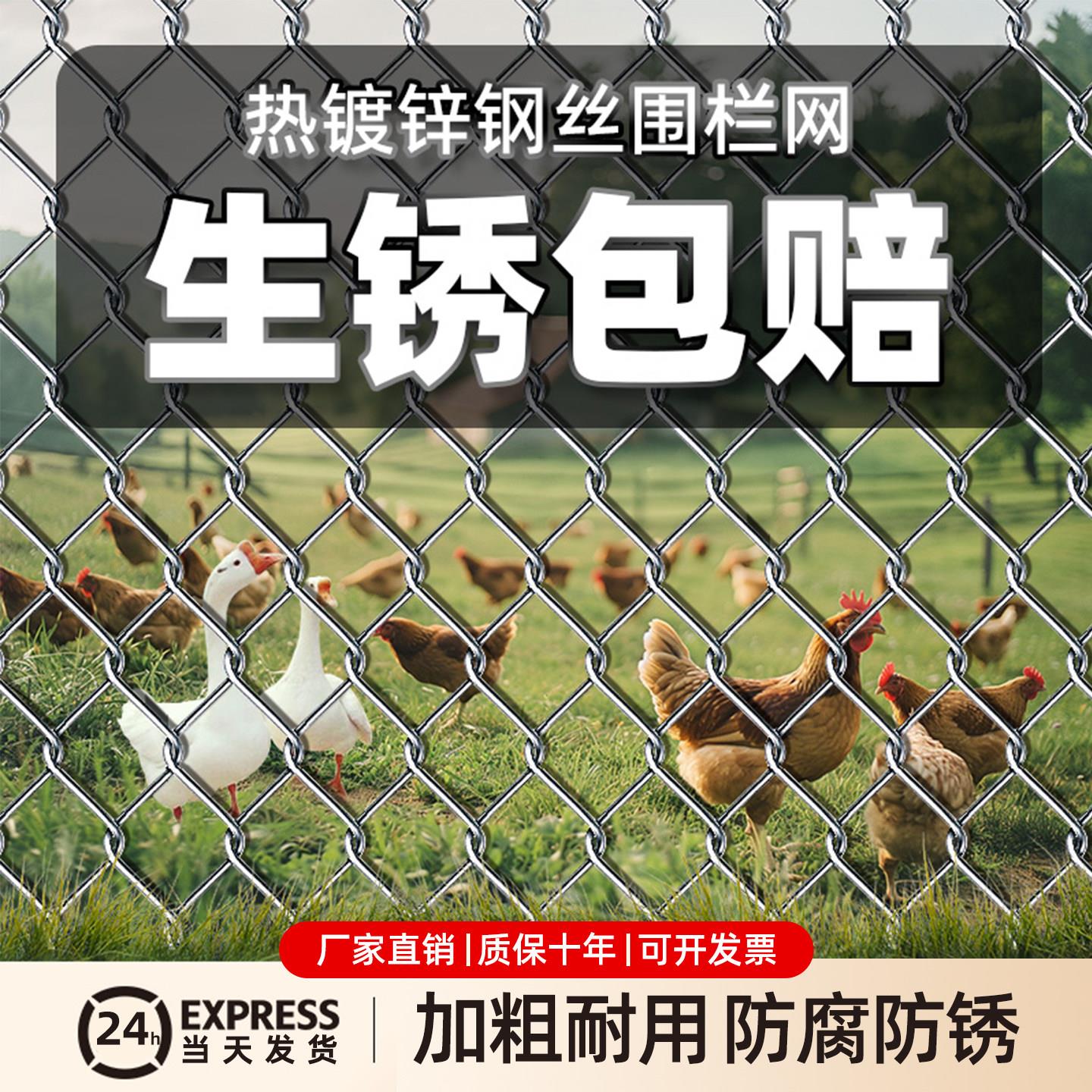 镀锌铁丝网围栏养殖网鸡羊钢丝网果菜园铁网格网勾花网隔离防护网