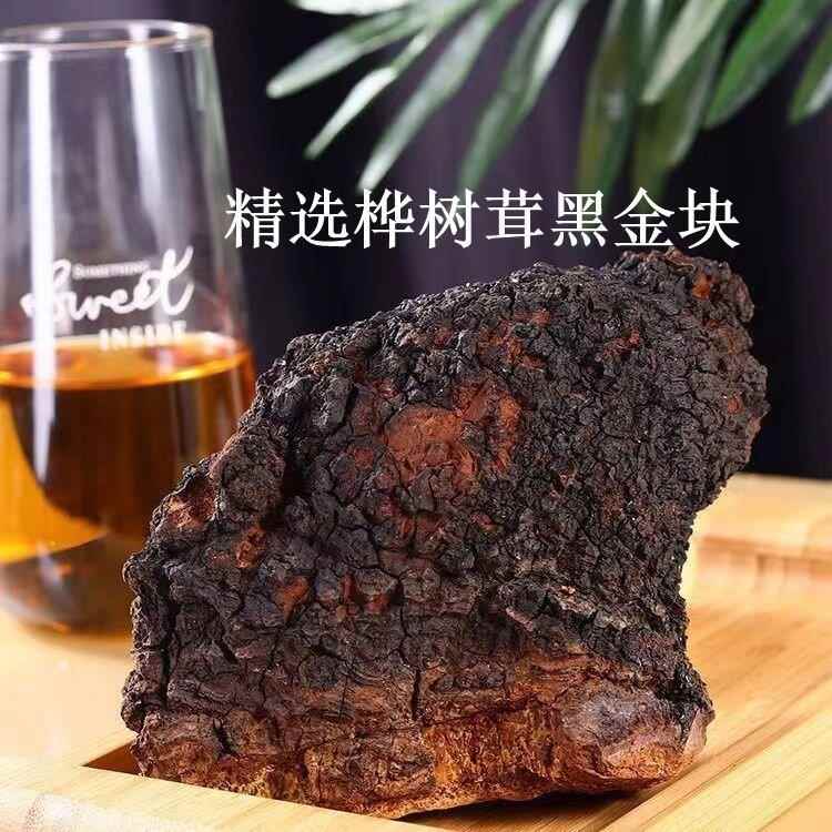 桦树茸东北长白山野外生长白桦树茸桦褐孔菌颗粒泡水打粉大量