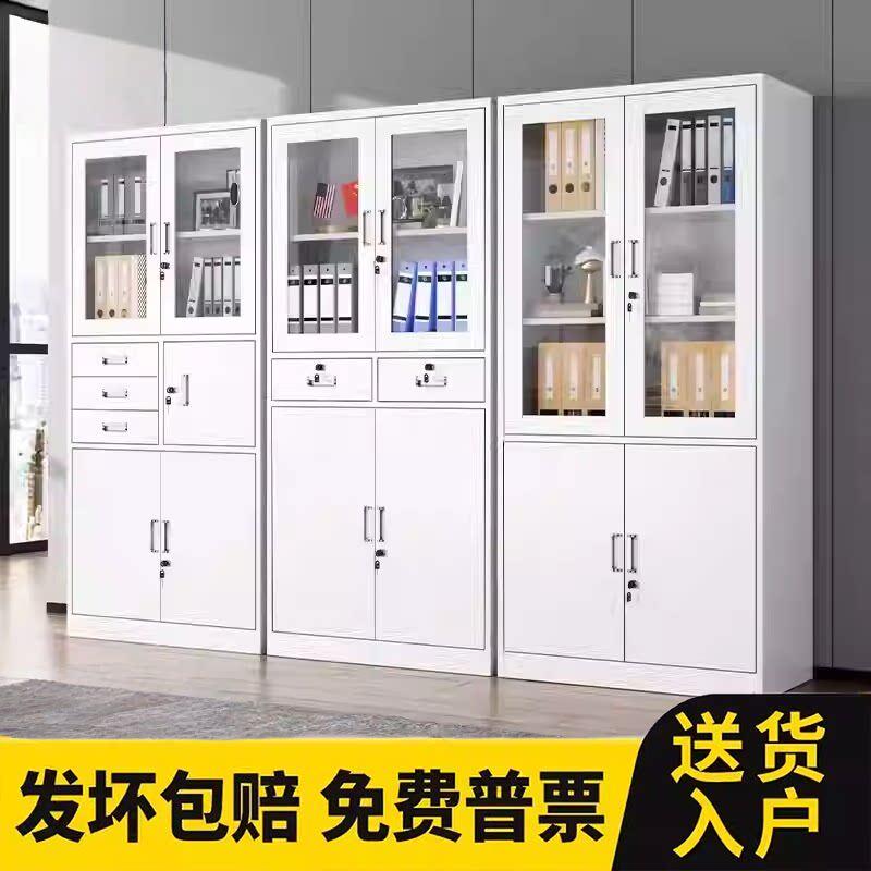 2门钢制文件柜铁皮柜财务凭证柜办公室资料柜档案收纳带锁储物柜
