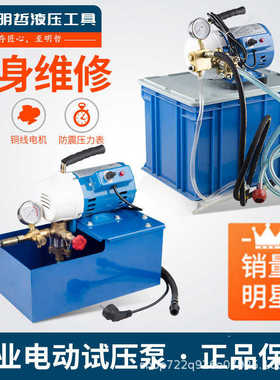 DSY-25 60手提式电动试压泵 PPR水管道试压机 双缸打压泵打压机