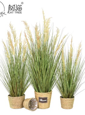 仿真芦苇假草110cm黑麦洋葱草盆栽人造狗尾巴草装饰植物盆景