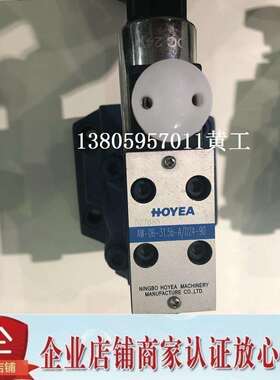 HOYEA电磁单向阀AW-06-31.5B-A/D24-90H-AP-204AYZ-01