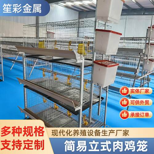 肉鸡笼镀锌H型立式雏肉两用鸡笼农用畜牧含托粪盘塑料水桶鸡笼