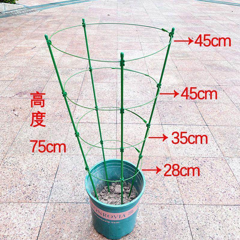 花架月季伸缩阳台其它园艺用品