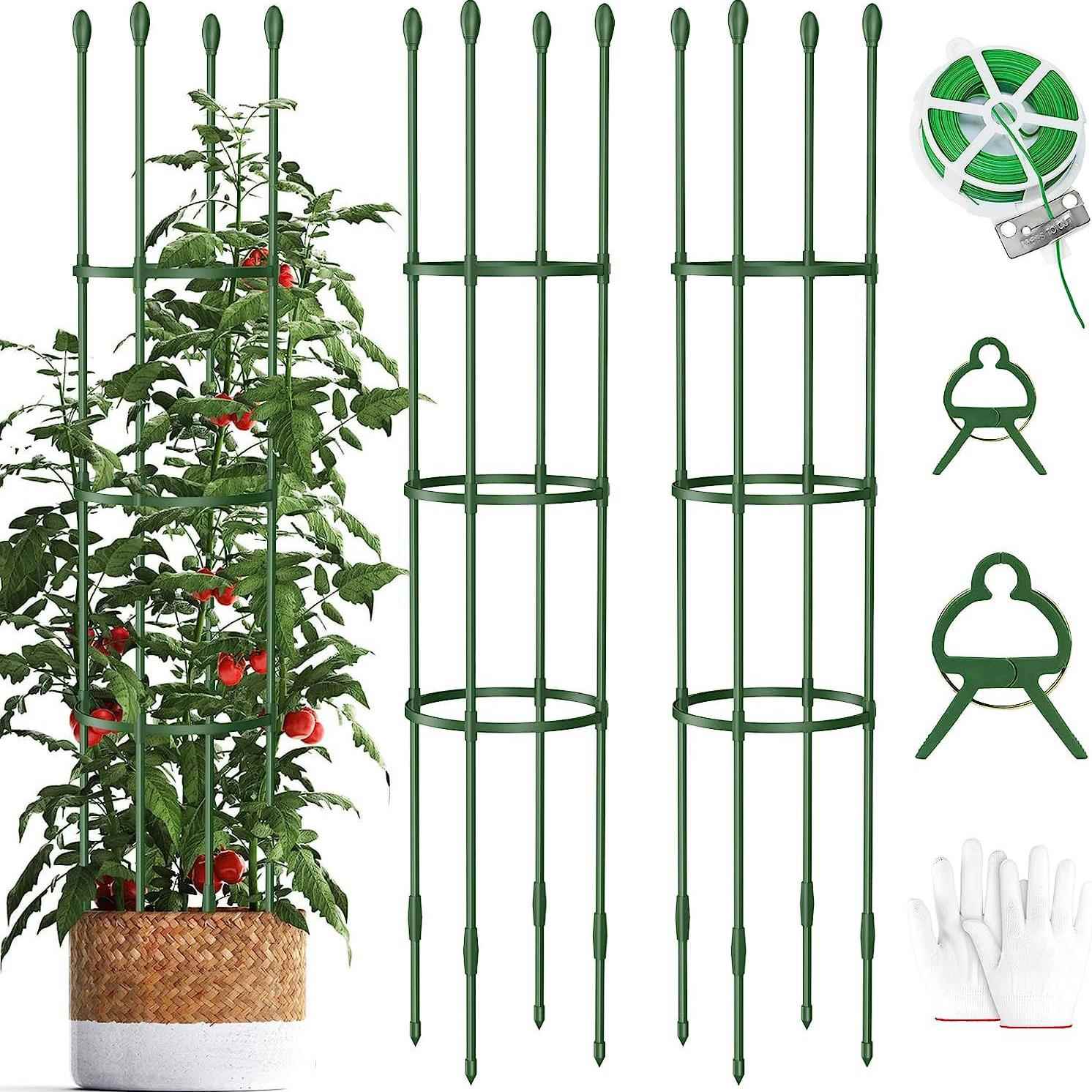 园艺植物番茄爬藤架花架支撑架包塑钢管月季花卉绿萝葡萄架果蔬