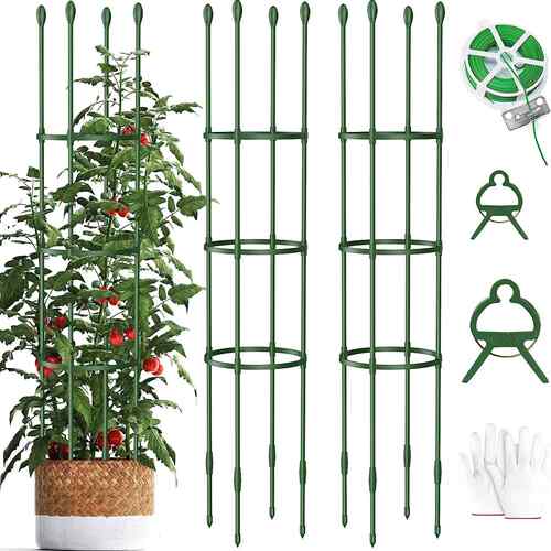园艺植物番茄爬藤架花架支撑架包塑钢管月季花卉绿萝葡萄架果蔬