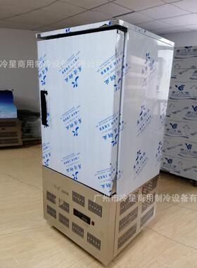 速冻柜商用海鲜水饺生胚包子油条低温柜冷冻冰柜急冻柜10盘速冻机