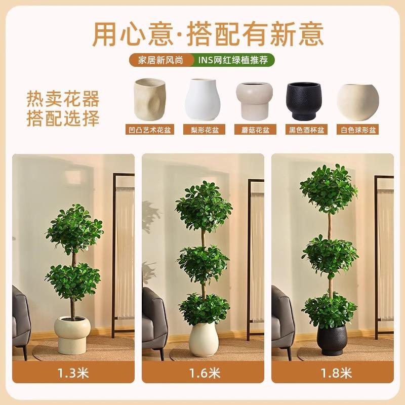 仿真绿植室内客厅金钱榕树假树落地盆栽中古风高级仿生植物摆件