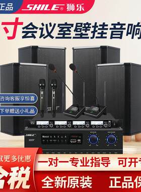 狮乐 BX108/AV108会议室音响套装功放组合培训店铺超市壁挂音箱